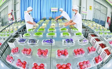 就業(yè)飯碗端得牢牢的 | 農(nóng)副產(chǎn)品助力幸福生活