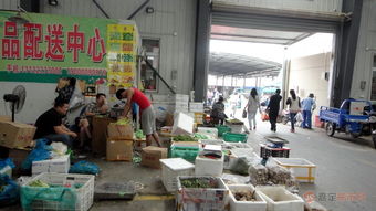 紀實實拍組圖 端午節(jié)探訪嘉定最便宜的農(nóng)副產(chǎn)品交易市場