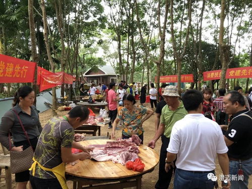 海南消費扶貧銷量榜發(fā)布 澄邁位列第三，農(nóng)副產(chǎn)品貢獻突出
