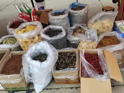 慶豐收 感黨恩——蘄春縣農副產品展銷會隆重開幕，特色好物匯聚一堂