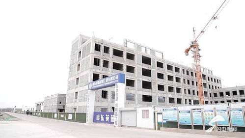 平原縣 聚焦綠色化工與農副產品精深加工，雙輪驅動沖刺百億產值新高地